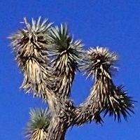 USA - San Bernardino